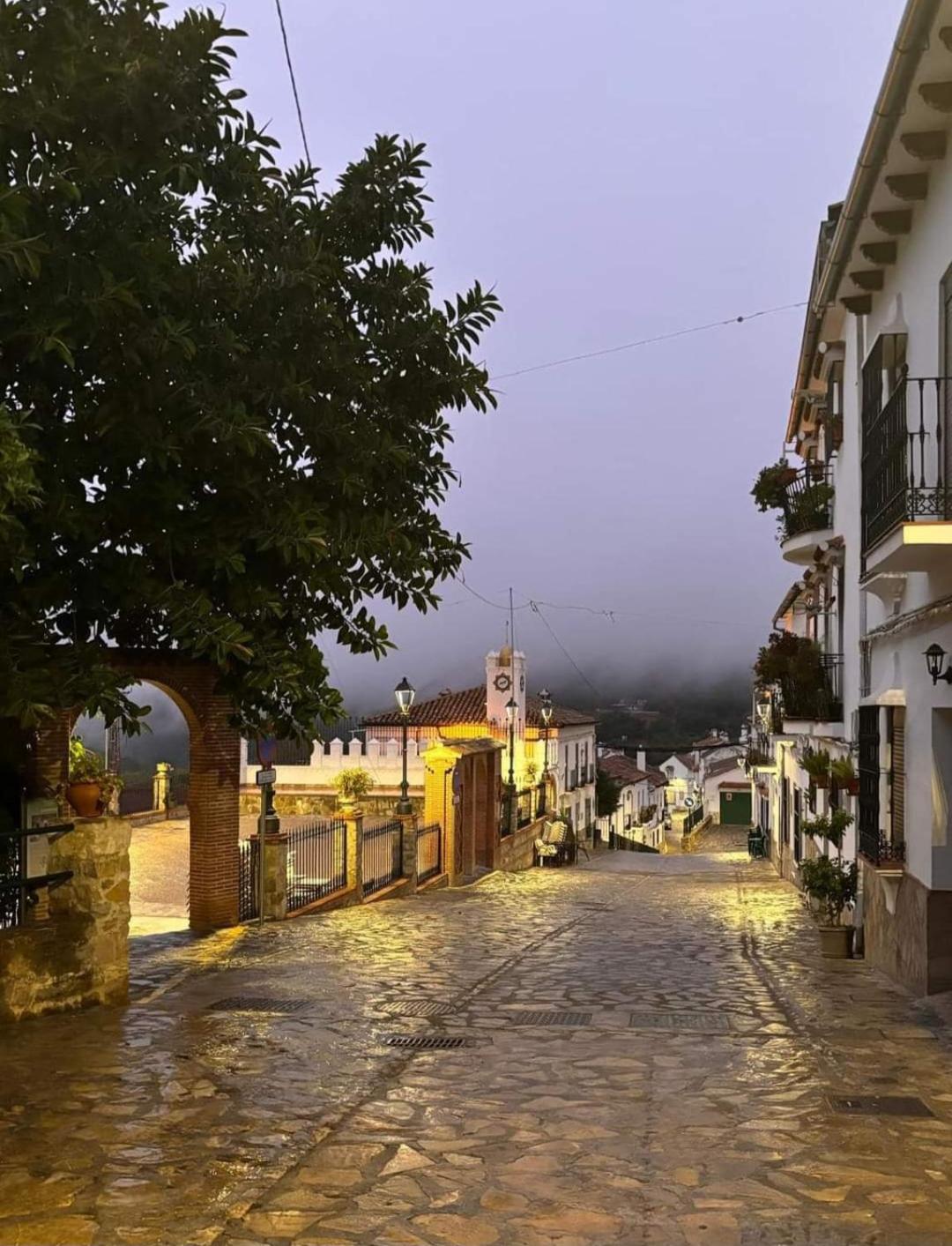 Apartmán El Pinsapo Benamahoma Exteriér fotografie